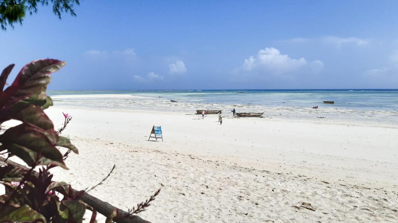 Ocean Blue Apartment With Panoramic Pool Zanzibarhouses كيوينجوا المظهر الخارجي الصورة